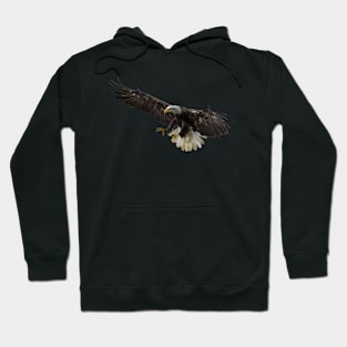 Bald Eagle Hoodie